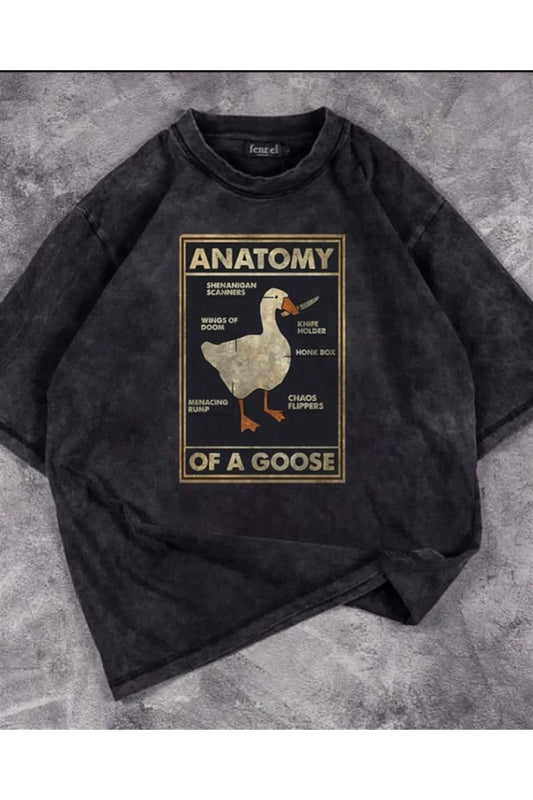 Duck Anatomy Unisex Eskitme T-shirt